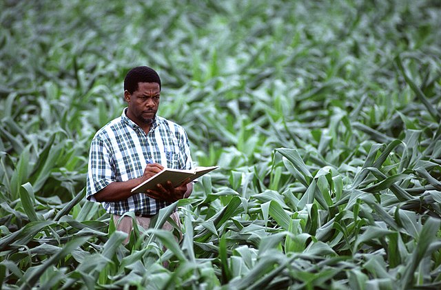  Harvesting Knowledge: Why a PhD in Agriculture Science is Your Path to Professional Growth